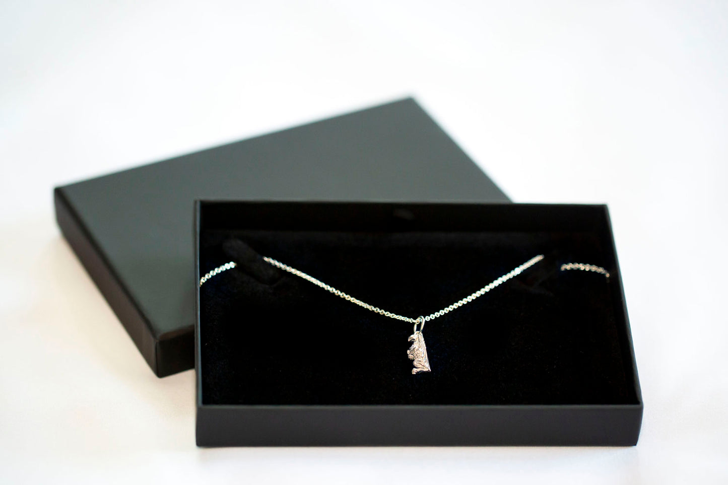 Ladies Silver Necklace and Gryphon Charm