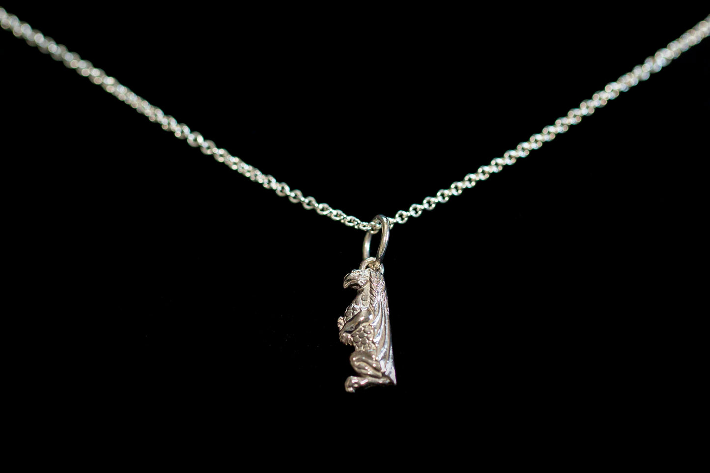 Ladies Silver Necklace and Gryphon Charm